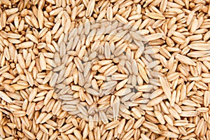 oat and millet seeds full as background