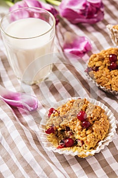 Oat muffins with cranberries