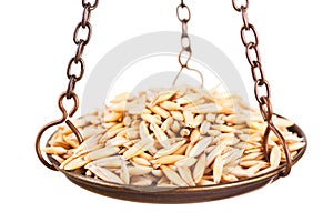 Oat in old balance scale