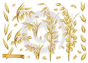 Oat plants, Rolled oats. 3d realistic vector icon set