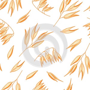 Oat seamless pattern on white background. Vector oatmeal illustration. Spelt wheat plant pattern. Natural oat meal