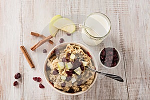 Oatmeal Breakfast Cereal With Cinnamon and Apples Cranberries an