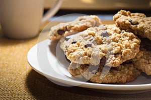 Oatmeal Chocolate Chip Cookies