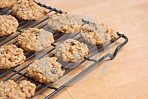 Oatmeal Cookies