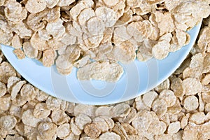 oatmeal and other cereals