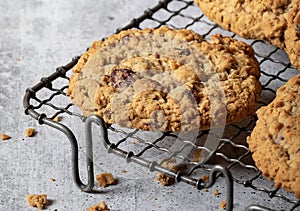 Oatmeal Raisin Cookie on Vintage Wire Cooling Rack