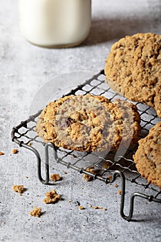 Oatmeal Raisin Cookie on Vintage Wire Cooling Rack with Milk