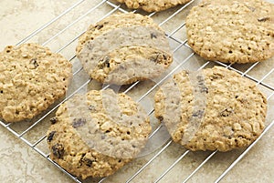 Oatmeal Raisin Cookies Cooling