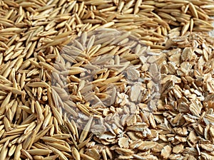 Oatmeal and stirabout cereal on a wooden table. Close-up