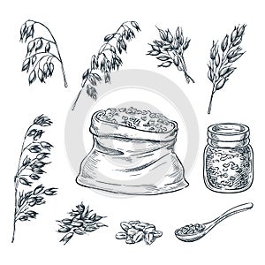 Oats cereal ears, grain in sack and porridge in glass jar. Vector sketch illustration. Hand drawn isolated design elements