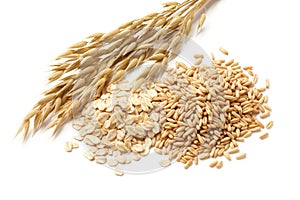 Oats with grains