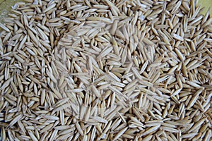 Oats grains close up, natural texture background, top view