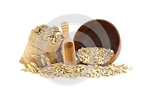 Oats grains with hulls and rolled oat groats