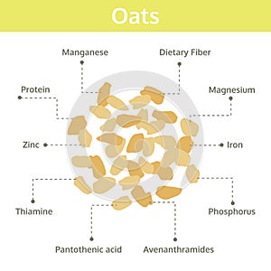 Oats nutrient of facts and health benefits, info graphic
