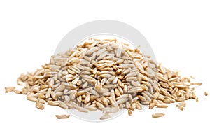 Oats seeds isolated on white background