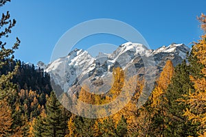 Oautumn landscapes in the Swiss Alps with the Bernina peak