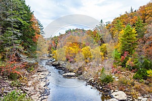 Obed Wild and Scenic River