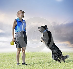 obedience training for border collie