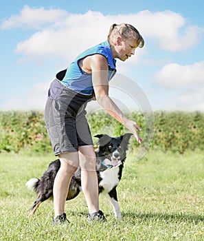 obedience training with a border collie