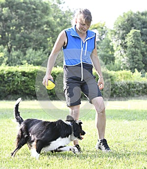 obedience training with a border collie