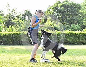 obedience training with a border collie