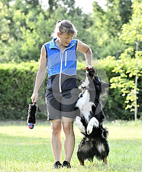 obedience training with a border collie