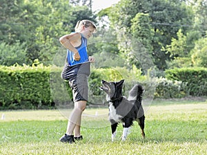 obedience training with a border collie