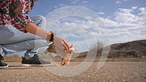obedience training outdoor leisure activity of young woman throwing toy to little chihuahua pet dog on asphalt and blue