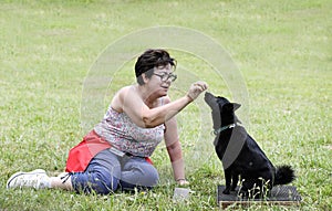 obedience training with a Schipperke