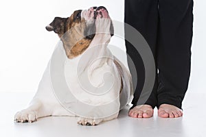 obedient dog and owner