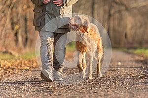 Obedient old Magyar Vizsla 13 years old. female dog handler is walking with her odedient old dog on the road in a forest in autumn