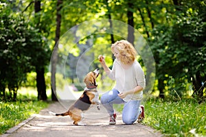 Obedient pet with his owner practicing jump command