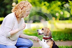 Obedient pet with his owner practicing paw command