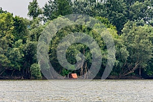 Obedska pond Special nature reserve along Sava river in Serbia