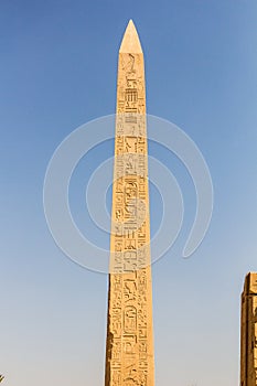 Obelisk in the Amun Temple enclosure in Karnak, Egy