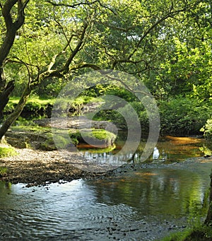 Ober Water at Ober Bridge