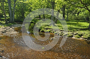 Ober Water at Ober Bridge