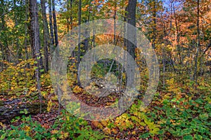 Oberg Mountain is part of the Sawtooth Range on the North Shore in Minnesota