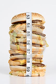 Obese Burger photo