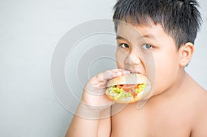 Obese fat boy child eat chicken hamburger