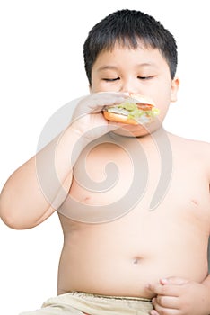 Obese fat boy child eat chicken hamburger isolated