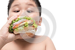 Obese fat boy eat hamburger.