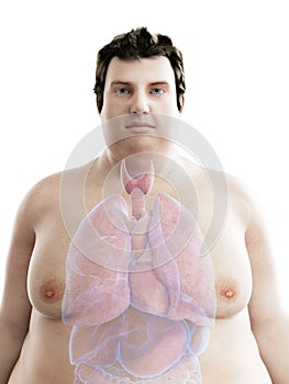 An obese mans thyroid gland