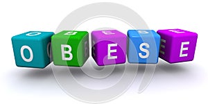 Obese word block on white