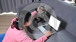 Obese young woman using laptop computer and sitting with her lovely cat in living room.