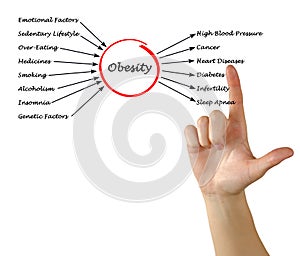 Obesity - Causes and Effects