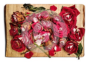 Pile of withered red roses is placed on a wooden board - an artistic decadence look