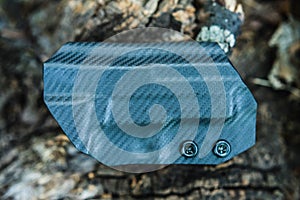 Objective shooting holster on the bark of a tree in the forest