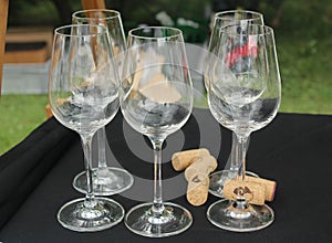 Winery still life - empty wine glasses prepared for wine tasting and cork