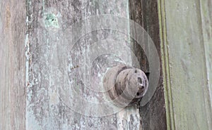 the objects found in the deserted and dilapidated colonial building.